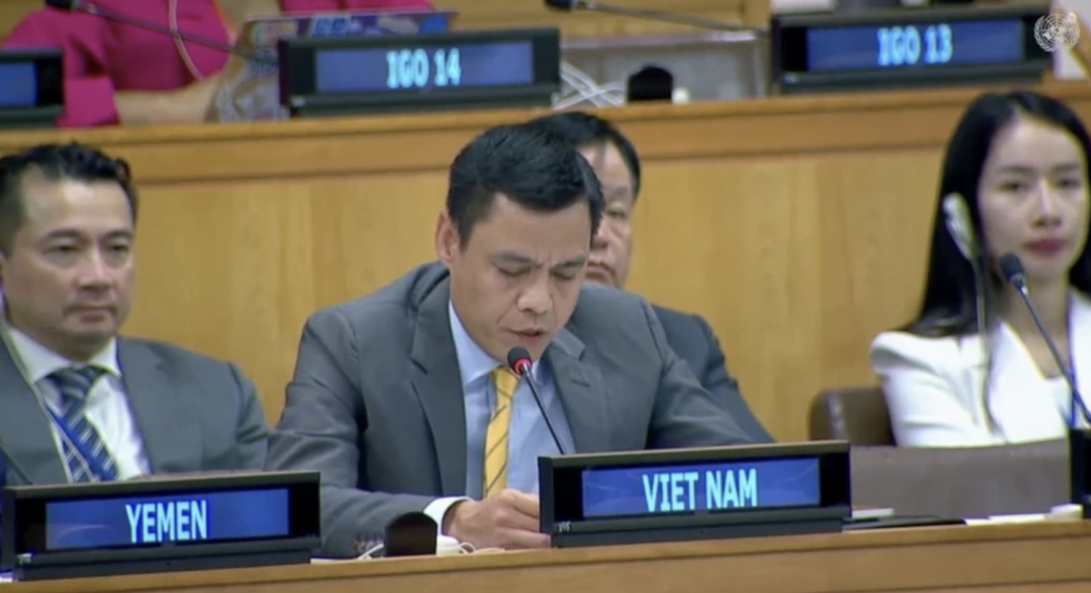 Vietnam commits strict management of weapon: diplomat